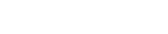 Fundación NTT DATA